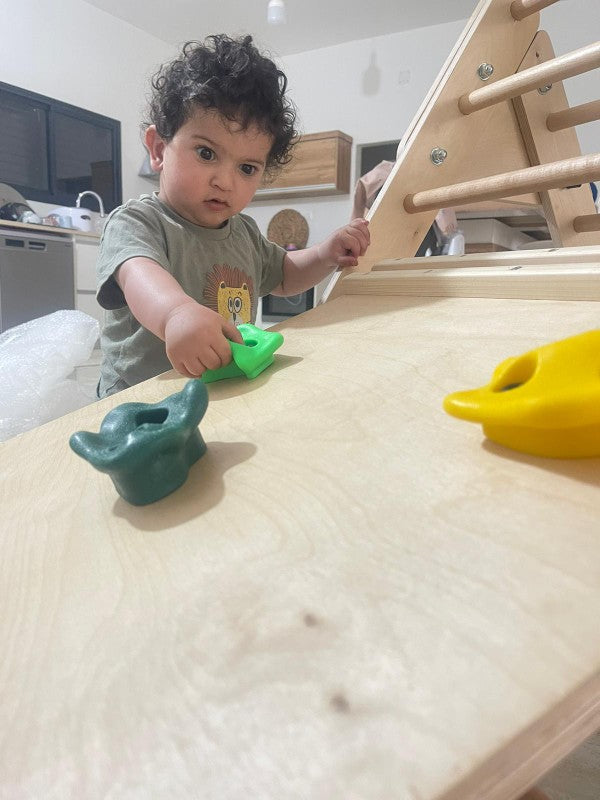 משולש פיקלר: איך הוא תורם להתפתחות מוטורית כבר מגיל שנה?