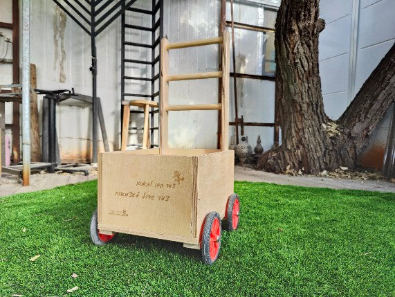 עגלת דחיפה לתרגול הליכה ויציבה