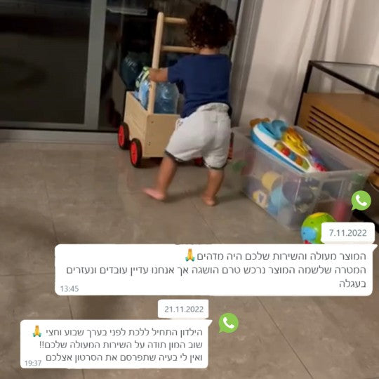 עגלת דחיפה לתרגול הליכה ויציבה