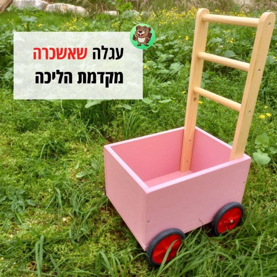 עגלת דחיפה לתרגול הליכה ויציבה