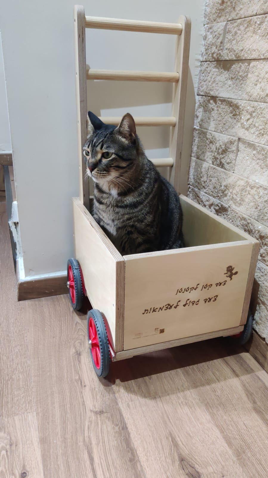 עגלת דחיפה לתרגול הליכה ויציבה