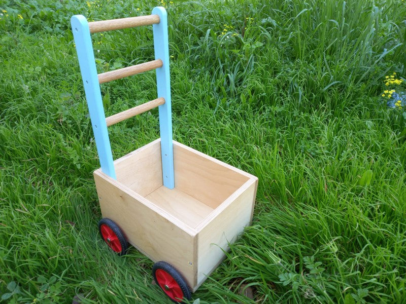 עגלת דחיפה לתרגול הליכה ויציבה