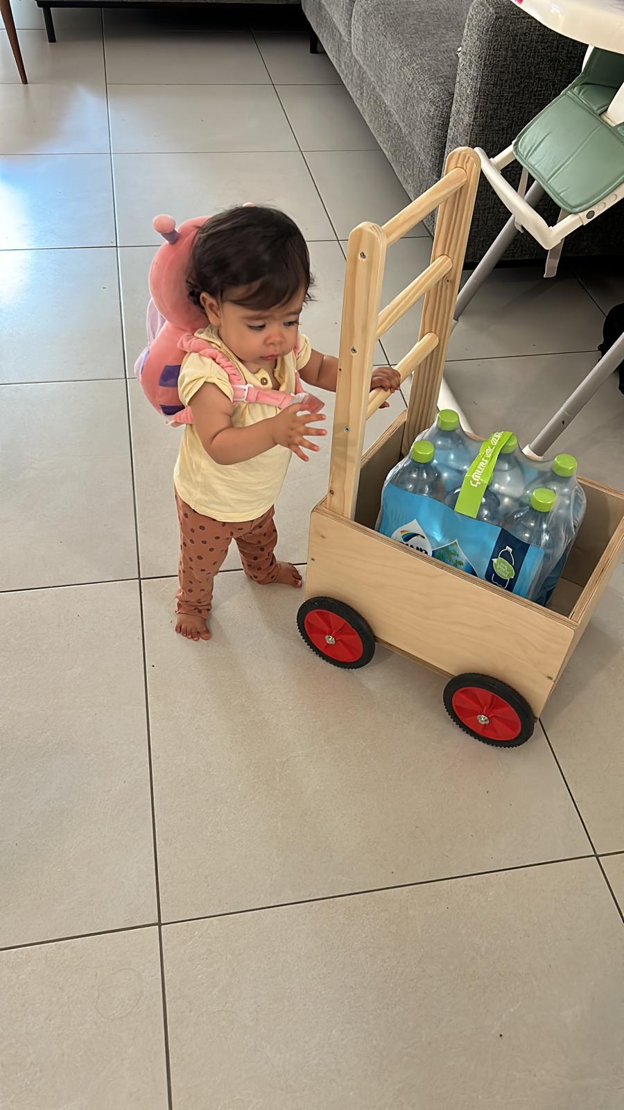 עגלת דחיפה לתרגול הליכה ויציבה