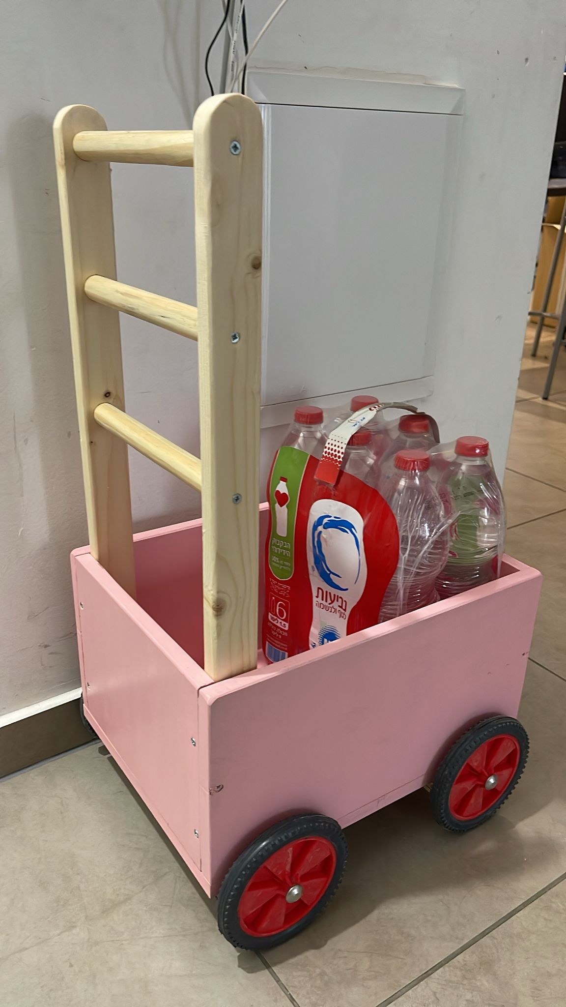 עגלת דחיפה לתרגול הליכה ויציבה