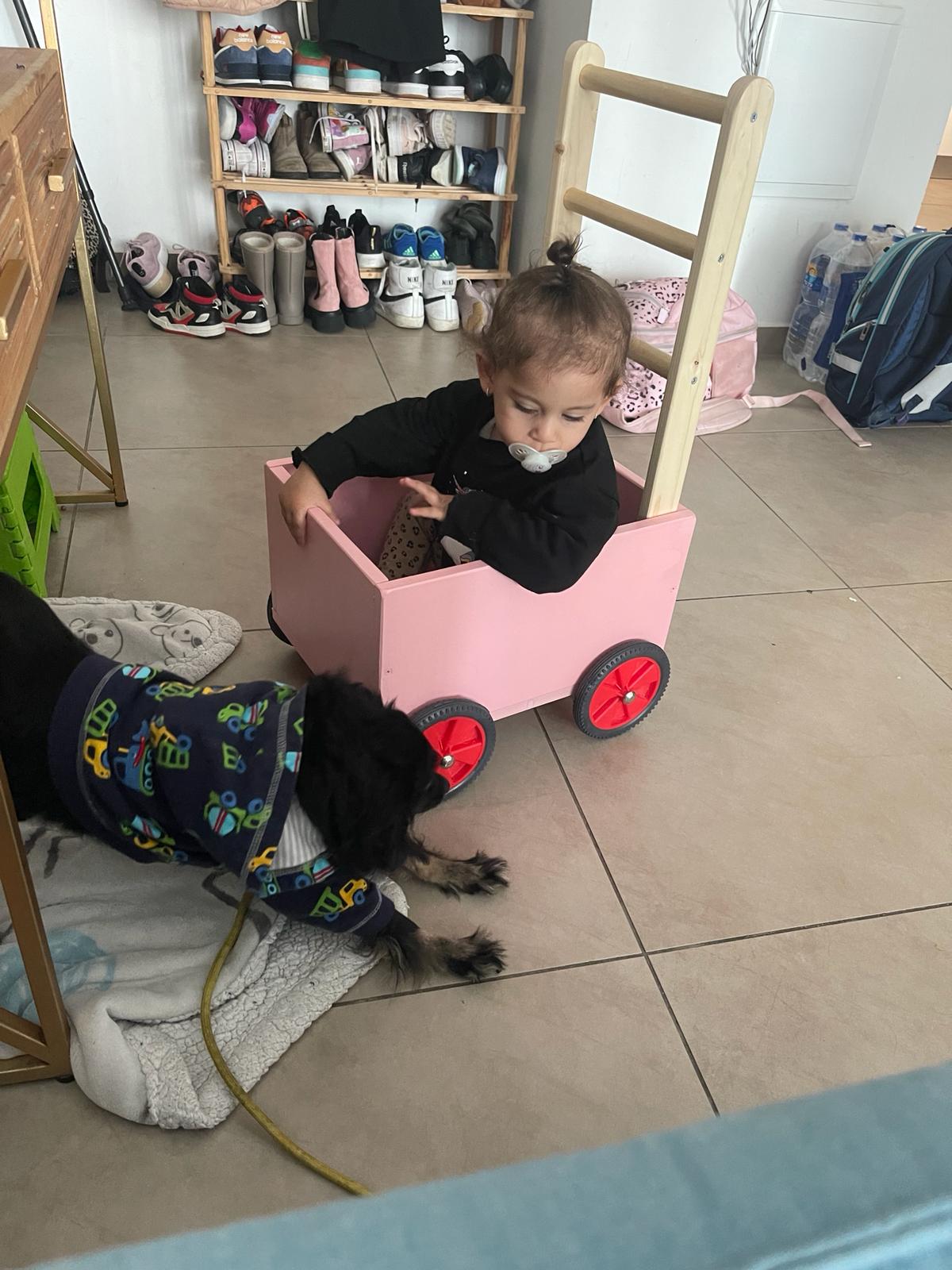 עגלת דחיפה לתרגול הליכה ויציבה