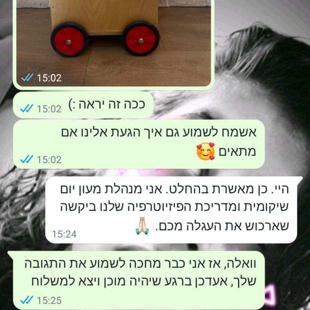 עגלת דחיפה לתרגול הליכה ויציבה