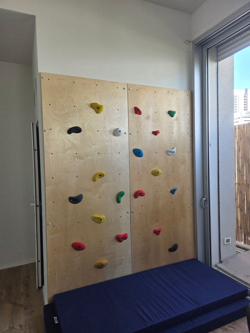 קיר טיפוס גדול מקצועי - 120X240